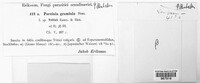 Puccinia graminis image